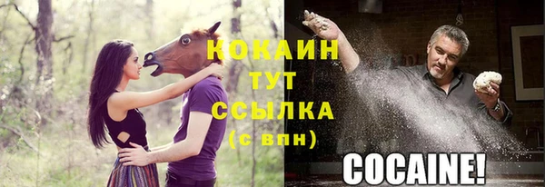бошки Кукмор